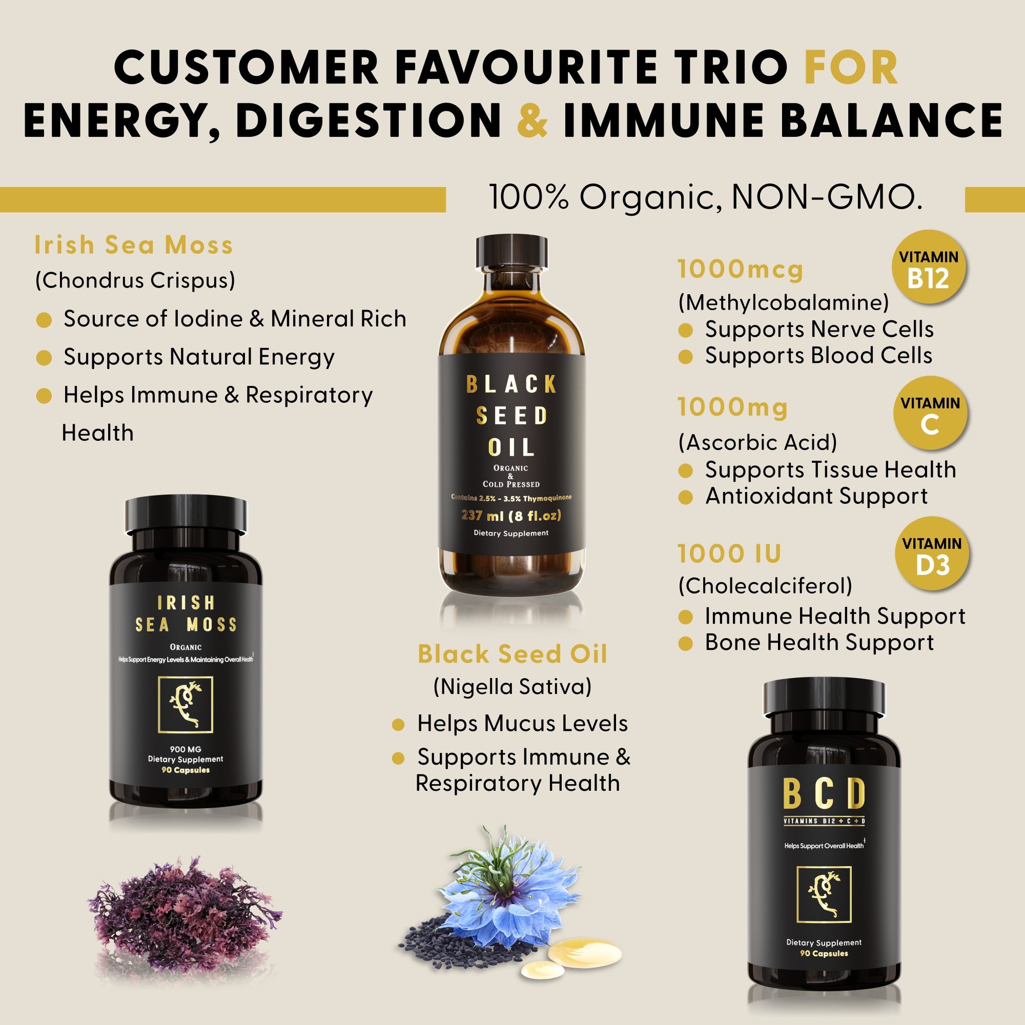 Daily Essentials 2.0 (With Cold-Pressed BSO Instead of Softgels)