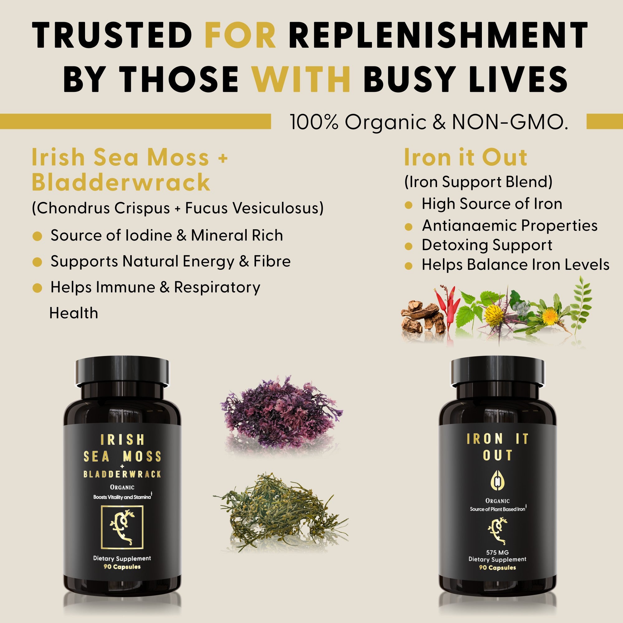 Mineral Code (+Iron)