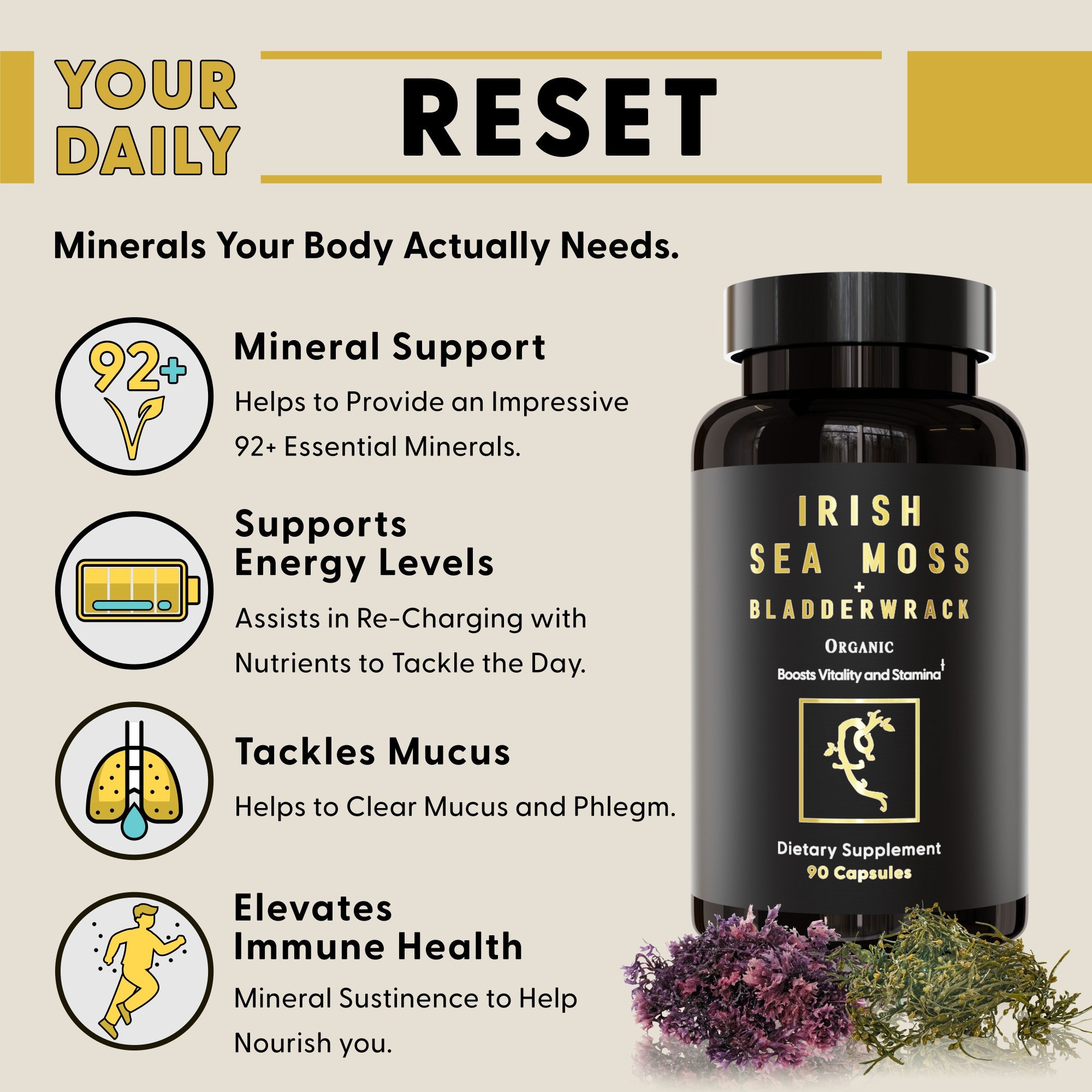 Sea Moss + Bladderwrack Capsules