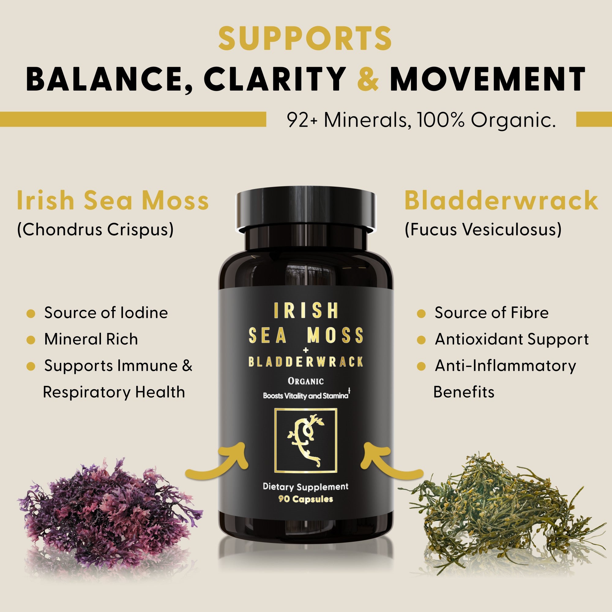 Sea Moss + Bladderwrack Capsules