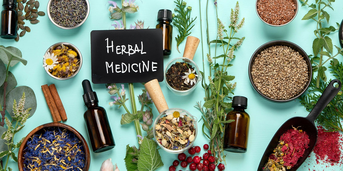 Several herbal plants and medicine bottles placed on a blue table with a sign that reads "Herbal Medicine"