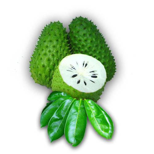 Close up of Soursop fruit with one cut open