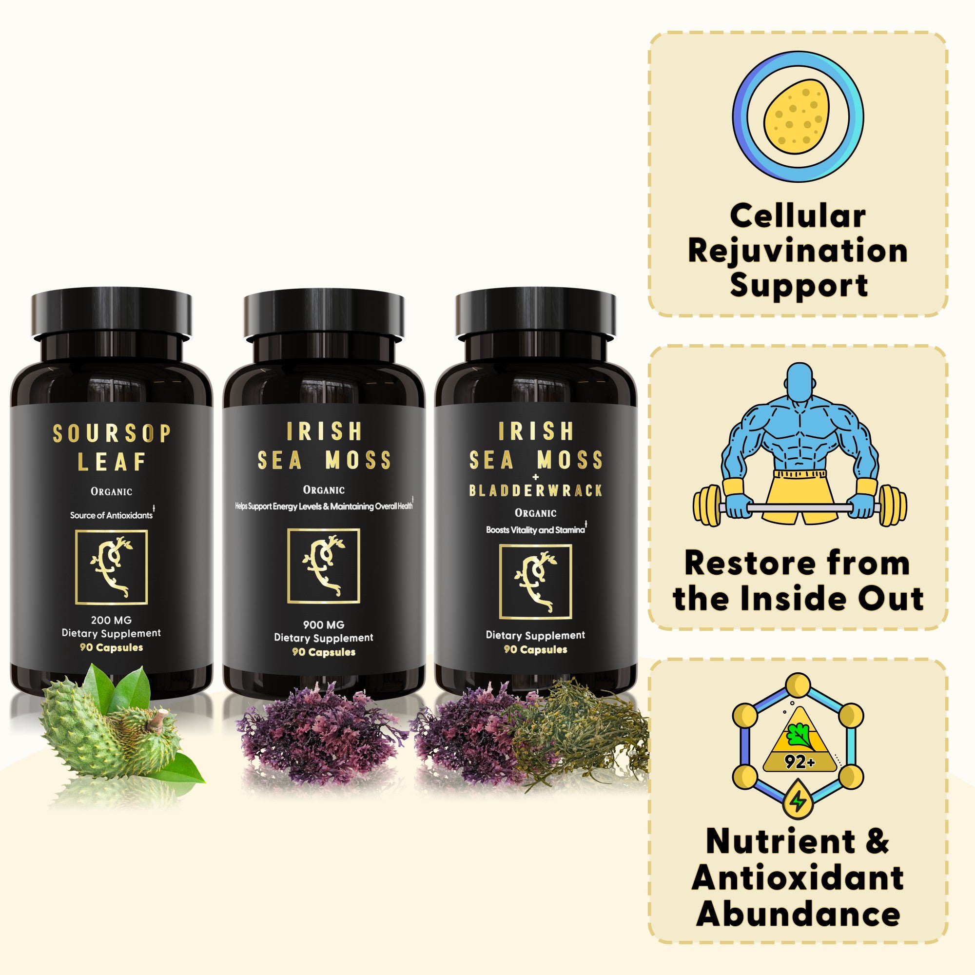 Cell Food & Immune Regeneration