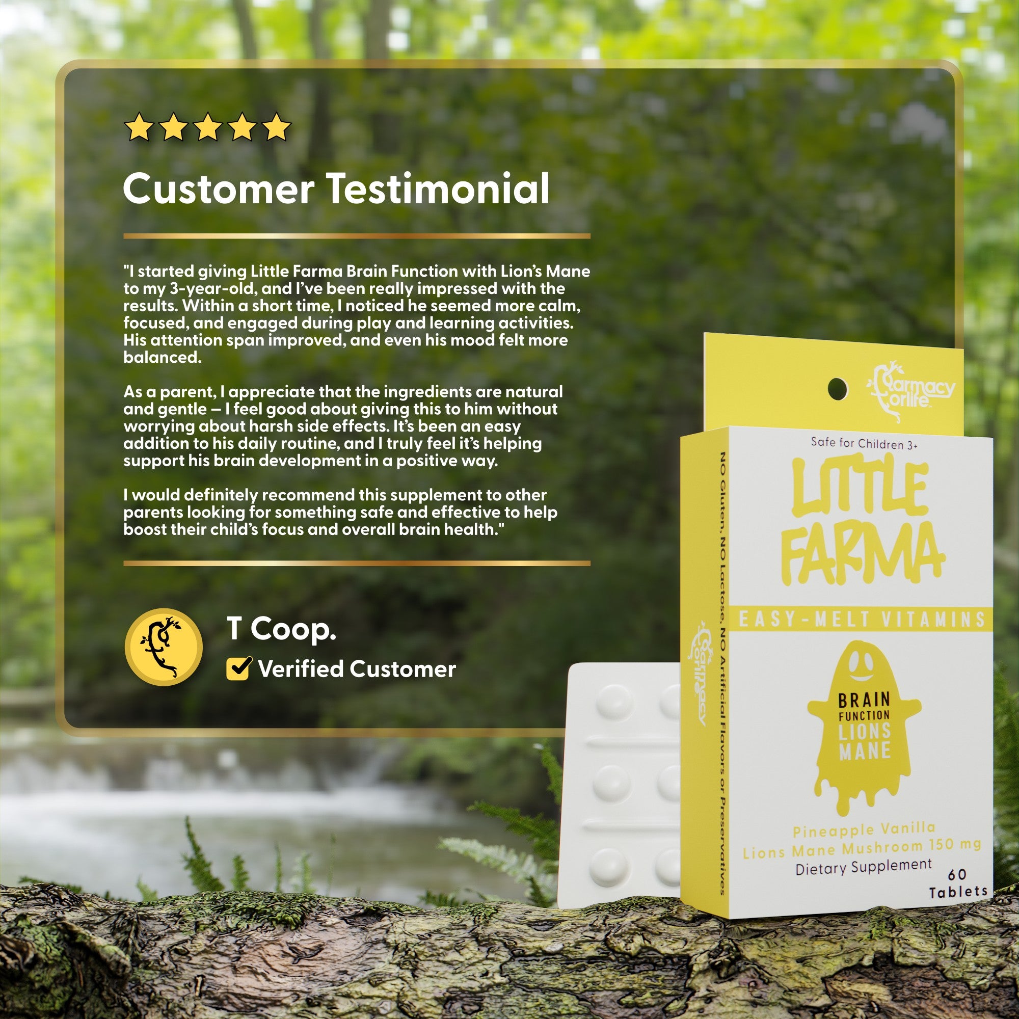 Little Farma BRAIN FUNCTION (Lion’s Mane)