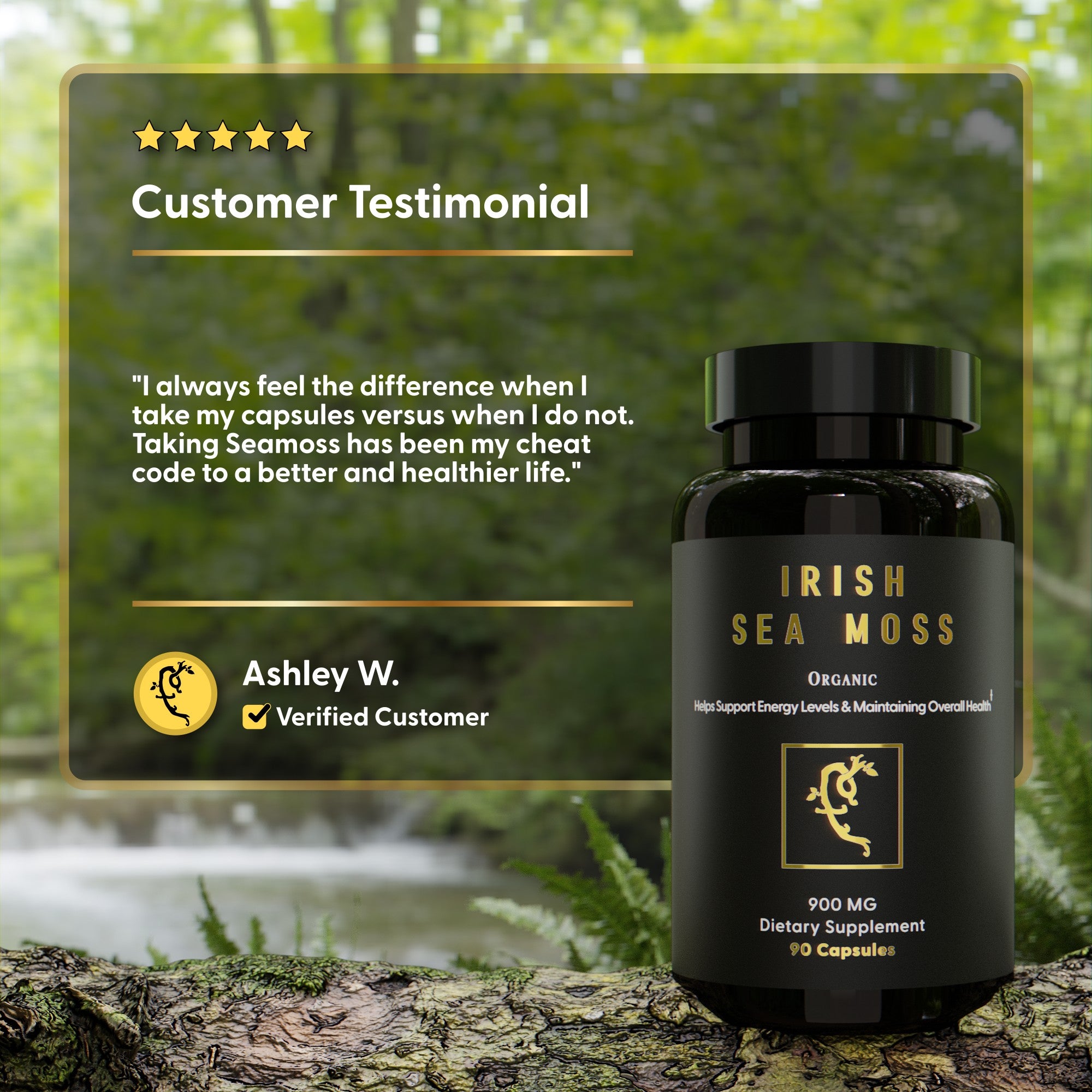 Irish Sea Moss (Chondrus Crispus) Capsules