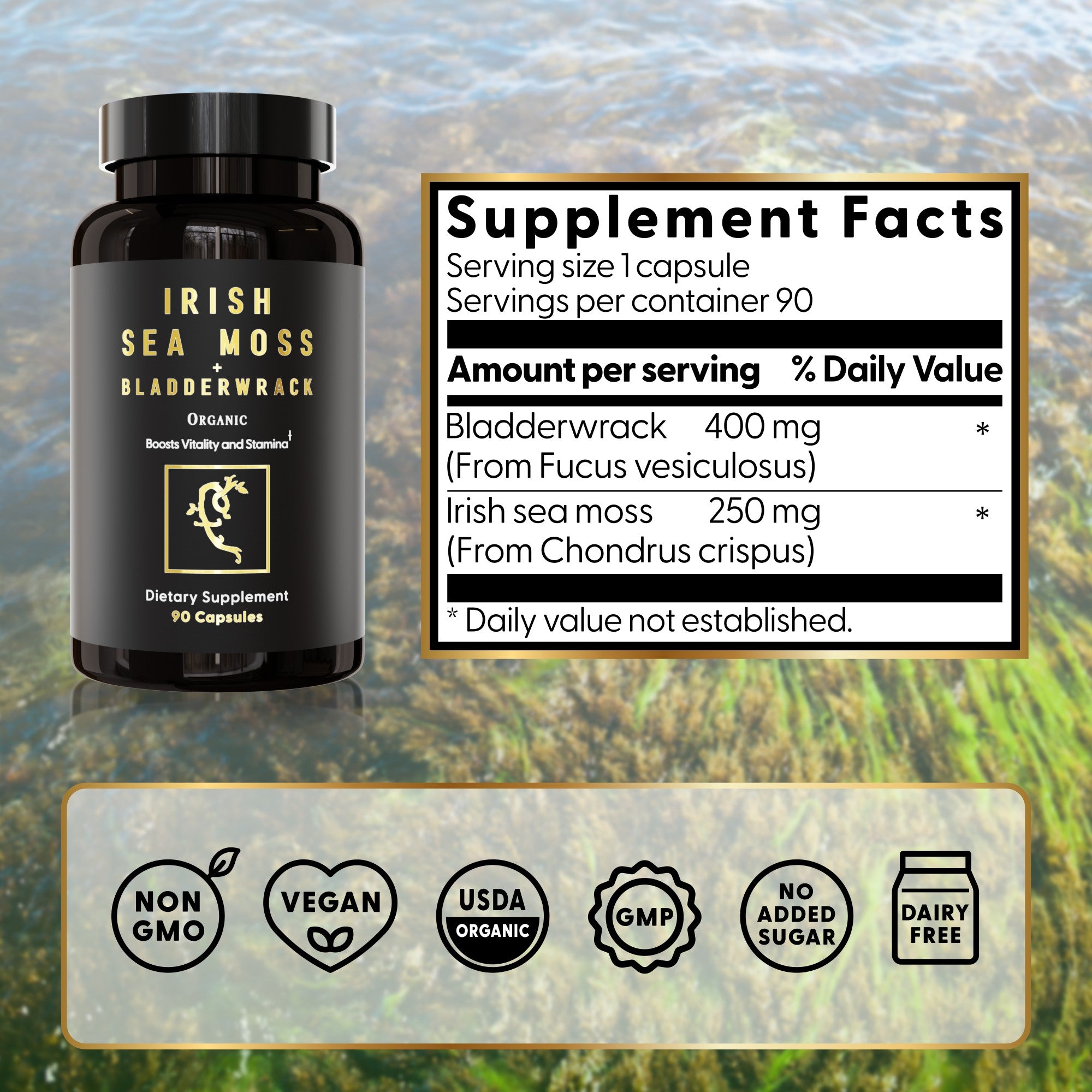 Sea Moss + Bladderwrack Capsules