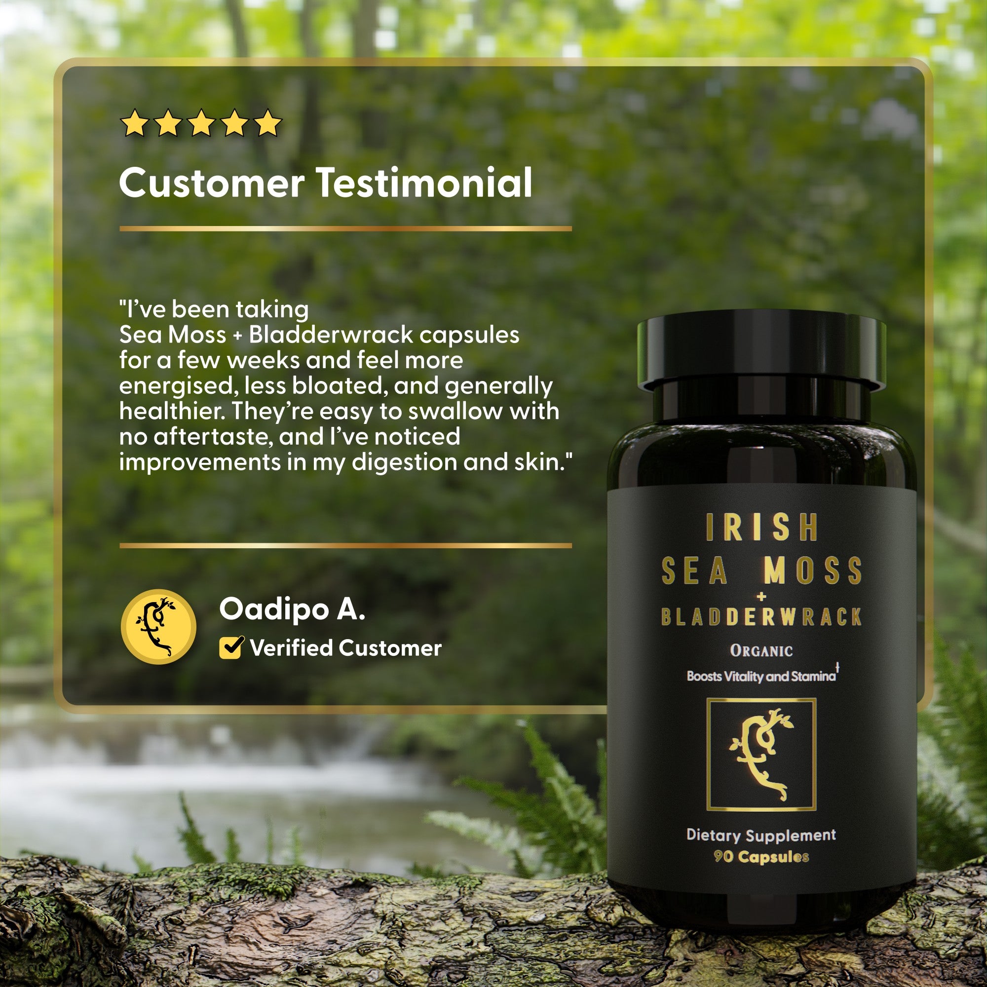 Sea Moss + Bladderwrack Capsules