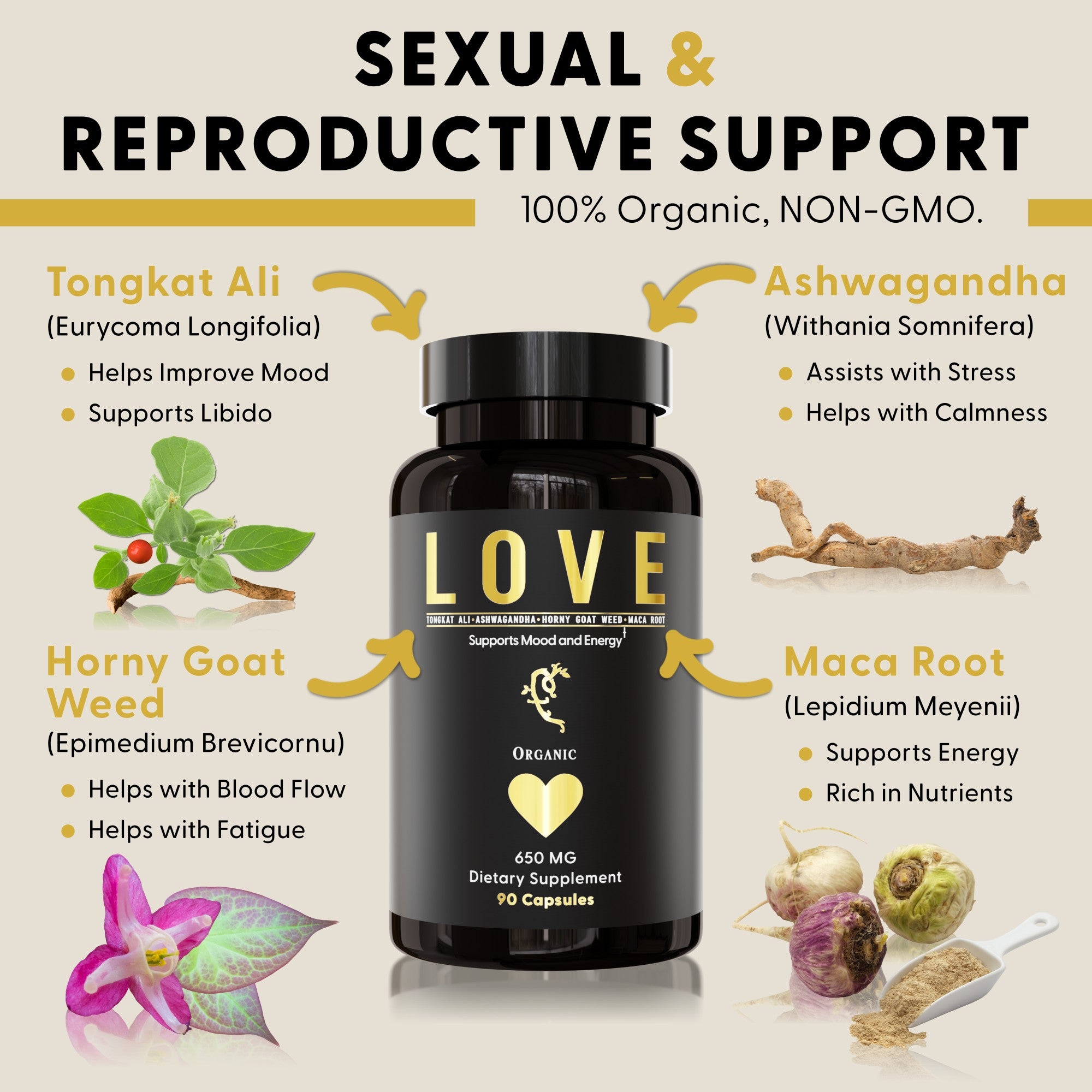 LOVE (Sexual & Reproductive Support)