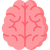 Brain Function